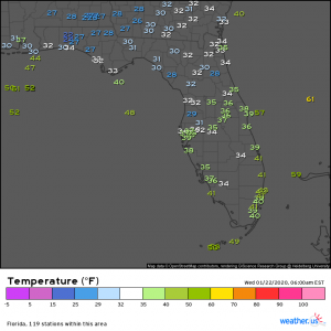 Unusual Cold Snap Impacting Florida This Morning