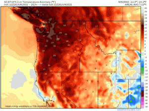 An Extreme Heatwave is Beginning to Batter the Northwest. Here’s What You Need to Know.