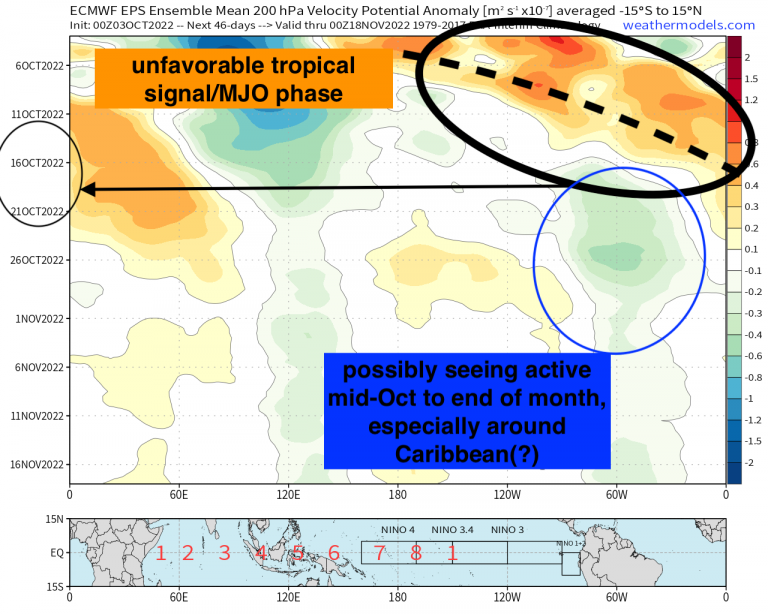 A Look at The Tropical Atlantic Activity: Medium-Long Range